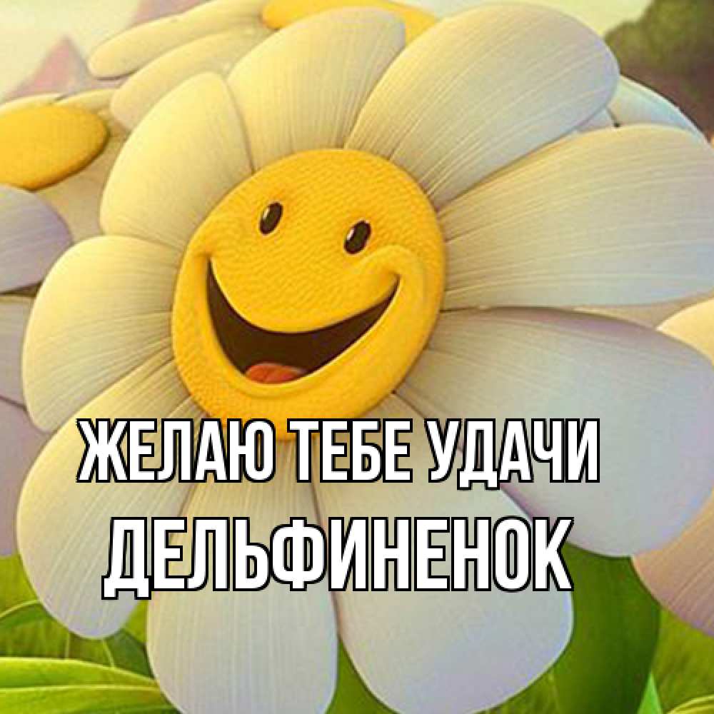 Открытка на каждый день с именем, дельфиненок Желаю тебе удачи подписать открытку своим текстом Прикольная открытка с пожеланием онлайн скачать бесплатно 