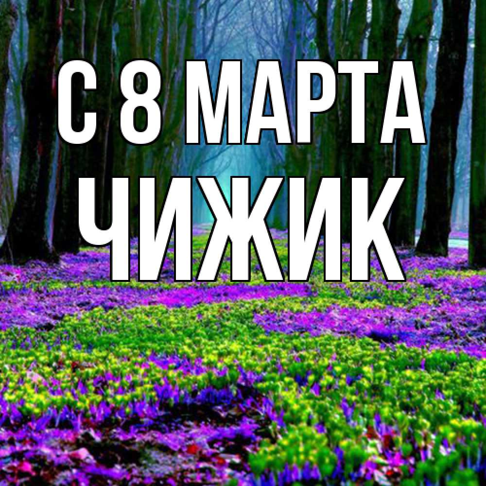 Открытка на каждый день с именем, Чижик C 8 МАРТА фиолетовые цветы в лесу 1 Прикольная открытка с пожеланием онлайн скачать бесплатно 