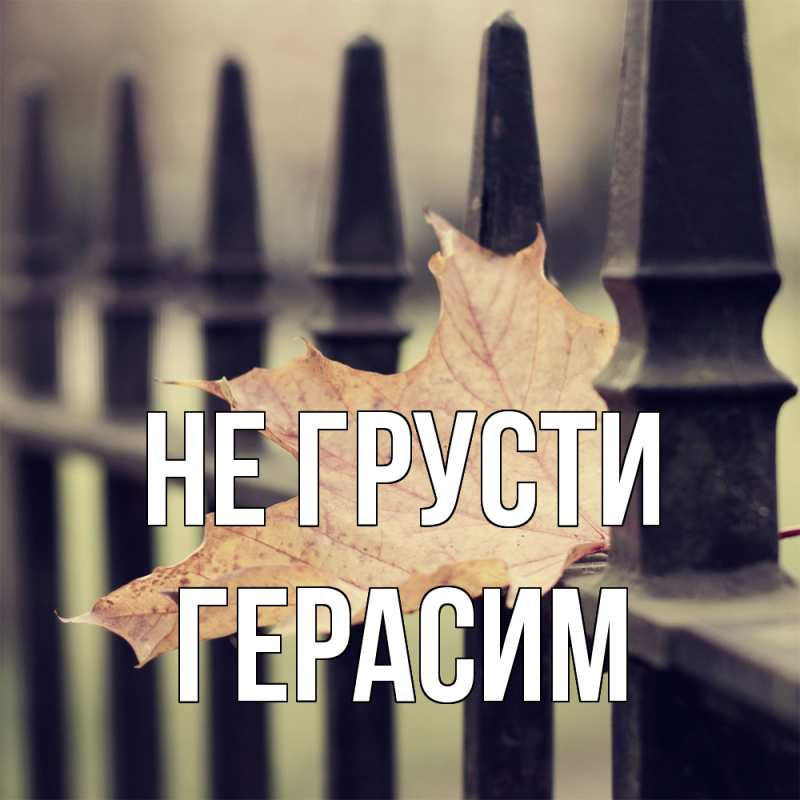 Картинка Не грусти, Герасим