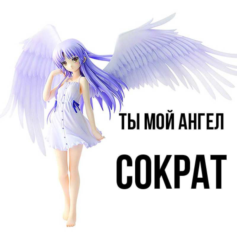 Картинка Ты мой ангел, Сократ