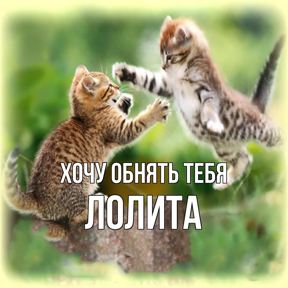 Открытка на каждый день с именем, Лолита Хочу обнять тебя игры котят Прикольная открытка с пожеланием онлайн скачать бесплатно 