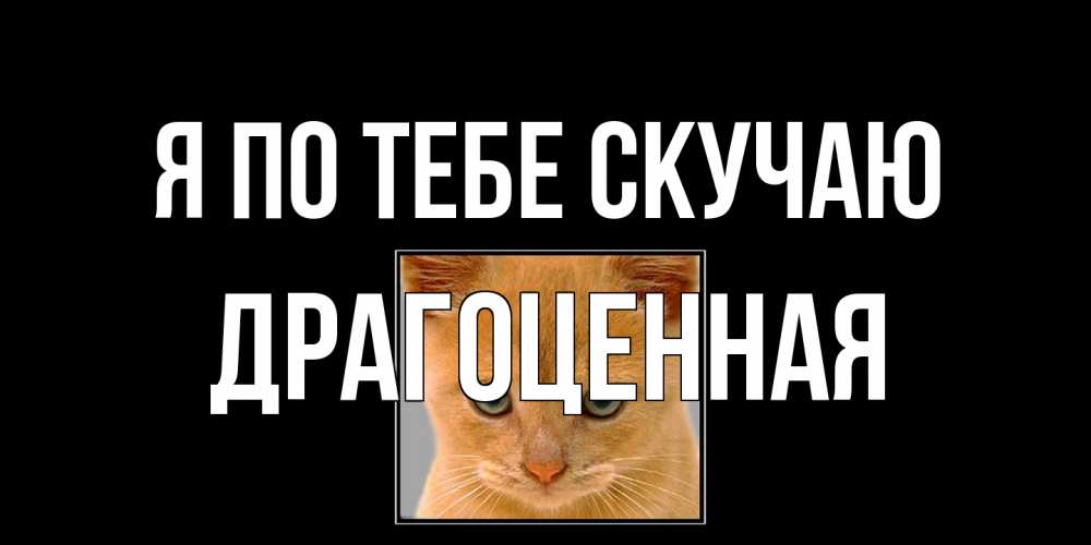 Открытка на каждый день с именем, Драгоценная Я по тебе скучаю открытки рыжий котенок скучает по тебе Прикольная открытка с пожеланием онлайн скачать бесплатно 