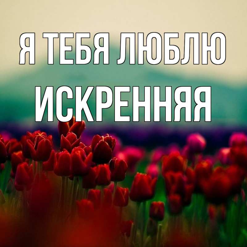 Картинка Я тебя люблю, Искренняя