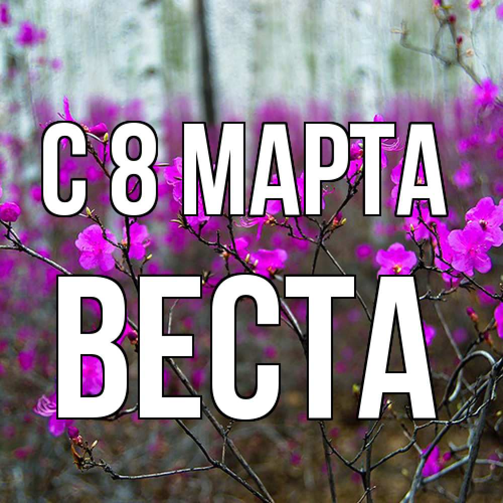 Открытка на каждый день с именем, Веста C 8 МАРТА дикие цветы Прикольная открытка с пожеланием онлайн скачать бесплатно 