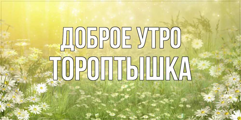 Открытка на каждый день с именем, Тороптышка Доброе утро доброе утро Прикольная открытка с пожеланием онлайн скачать бесплатно 