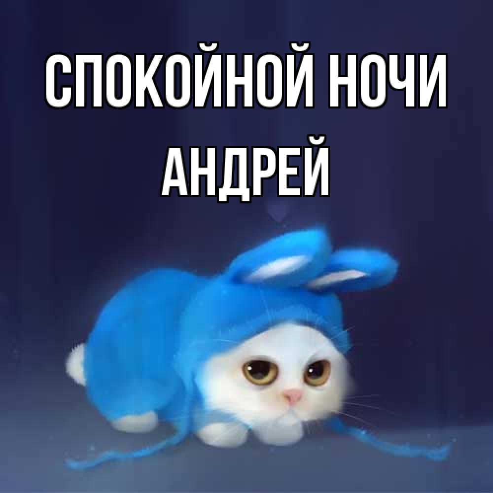 Открытка на каждый день с именем, Андрей Спокойной ночи кот в голубом костюме кролика с ушками Прикольная открытка с пожеланием онлайн скачать бесплатно 