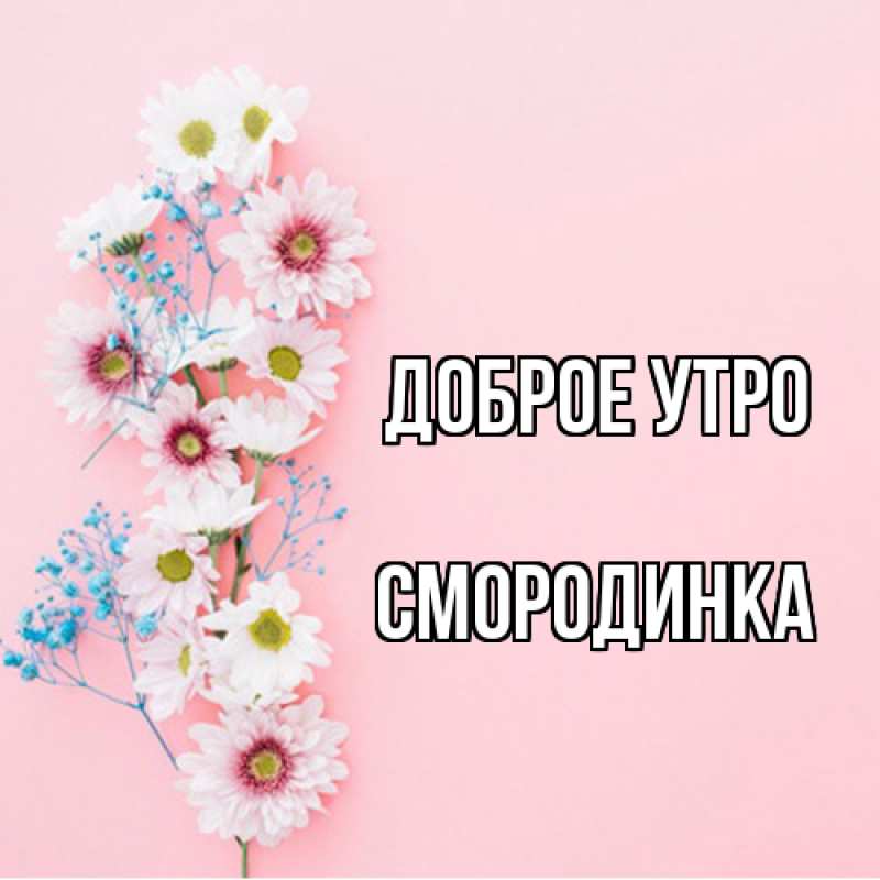 Картинка Доброе утро, смородинка