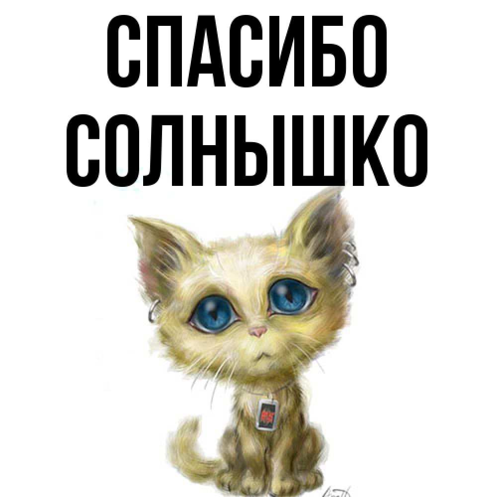 Открытка на каждый день с именем, Солнышко Спасибо рисованный кот благодарит вас Прикольная открытка с пожеланием онлайн скачать бесплатно 