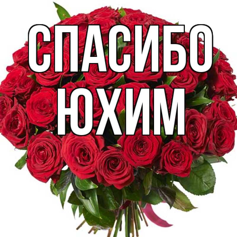 Картинка Спасибо, Юхим
