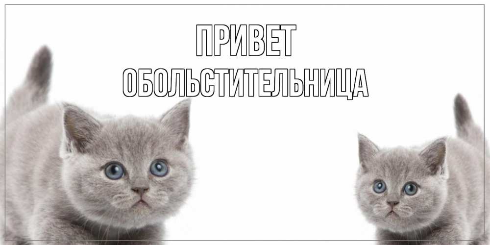 Открытка на каждый день с именем, обольстительница Привет коты Прикольная открытка с пожеланием онлайн скачать бесплатно 