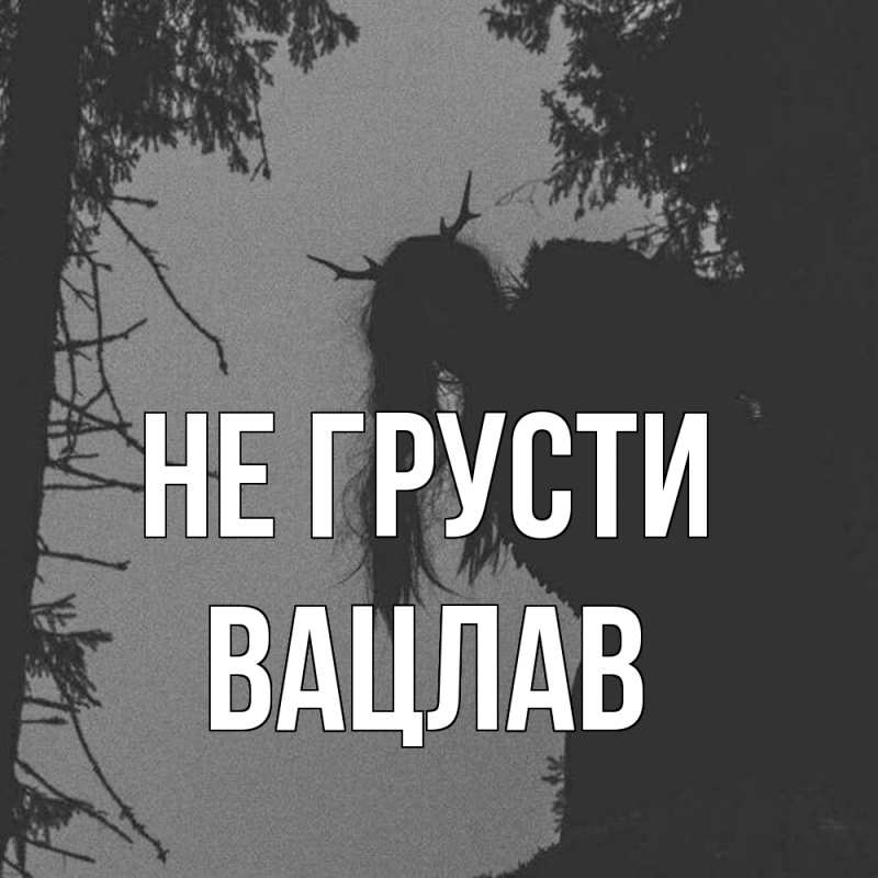 Картинка Не грусти, Вацлав