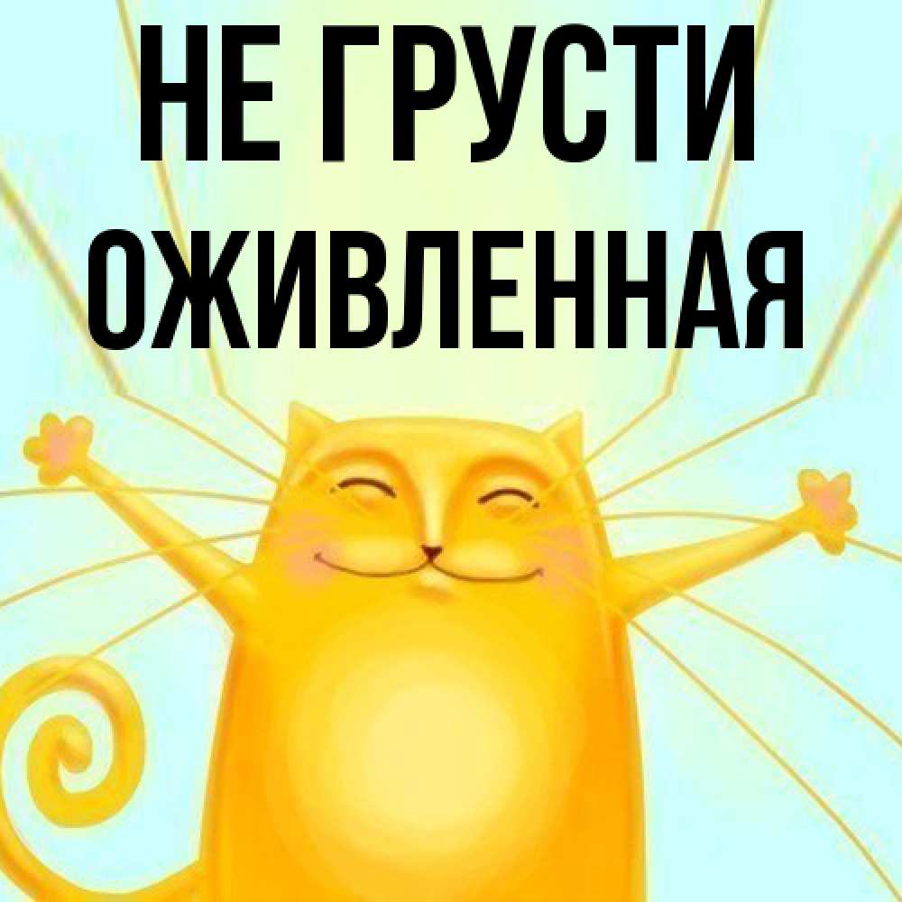 Открытка на каждый день с именем, Оживленная Не грусти обнимашки усатые Прикольная открытка с пожеланием онлайн скачать бесплатно 