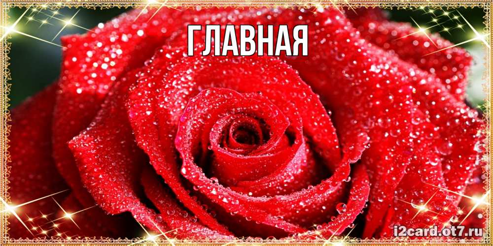 Открытка на каждый день с именем, Анна Главная роса и роза. открытка с красивой розой Прикольная открытка с пожеланием онлайн скачать бесплатно 