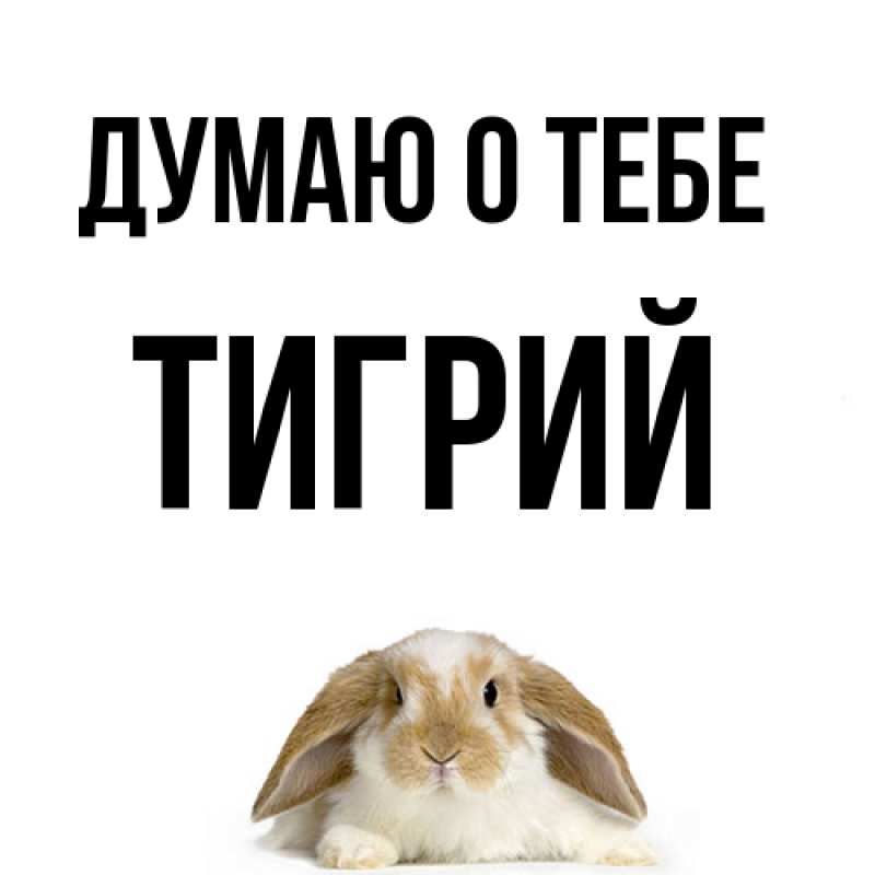 Картинка Думаю о тебе, Тигрий