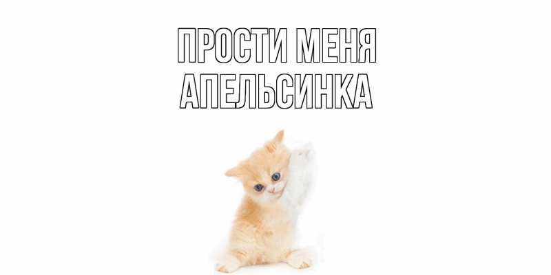 Картинка Прости меня, апельсинка