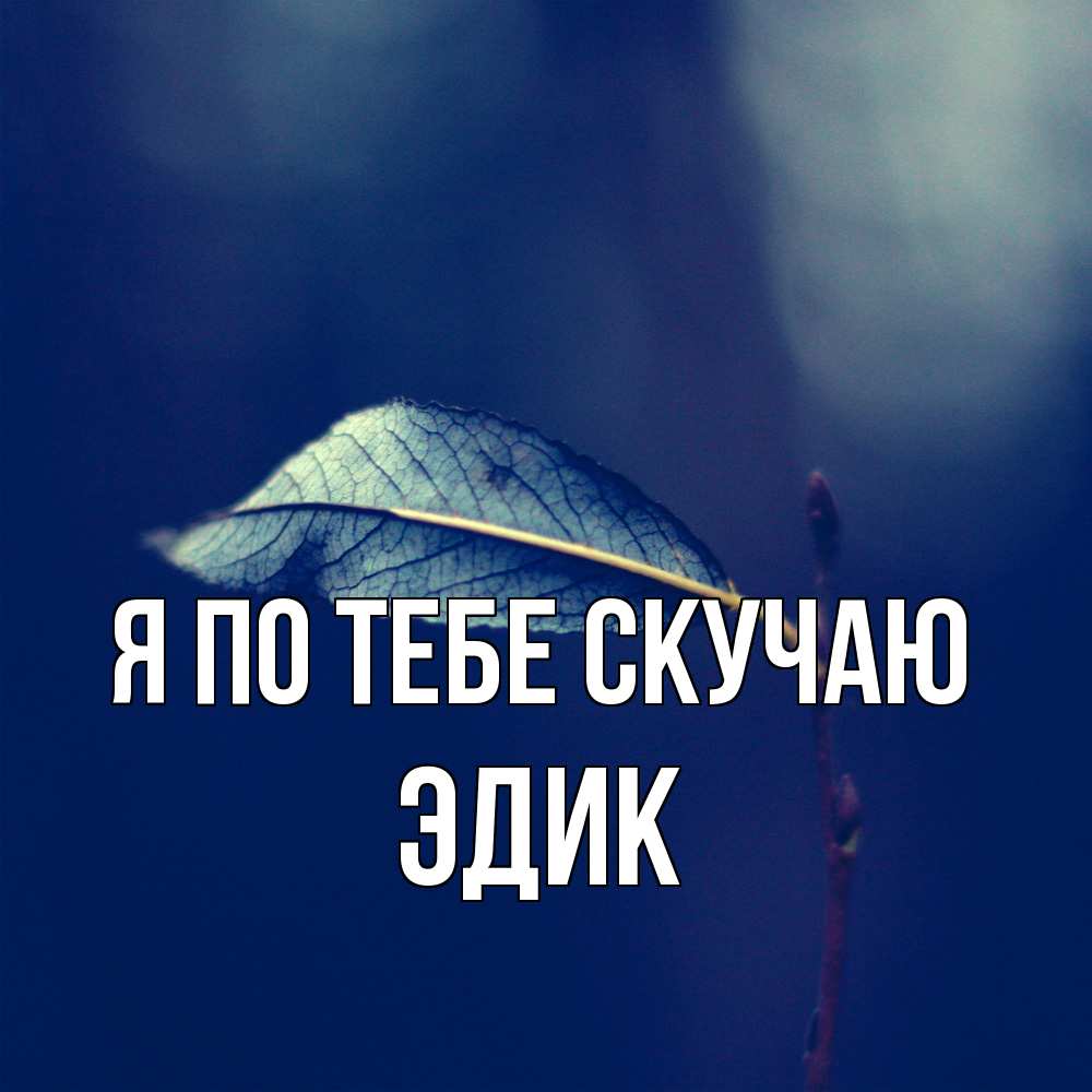 Открытка на каждый день с именем, Эдик Я по тебе скучаю одна ветка 1 Прикольная открытка с пожеланием онлайн скачать бесплатно 