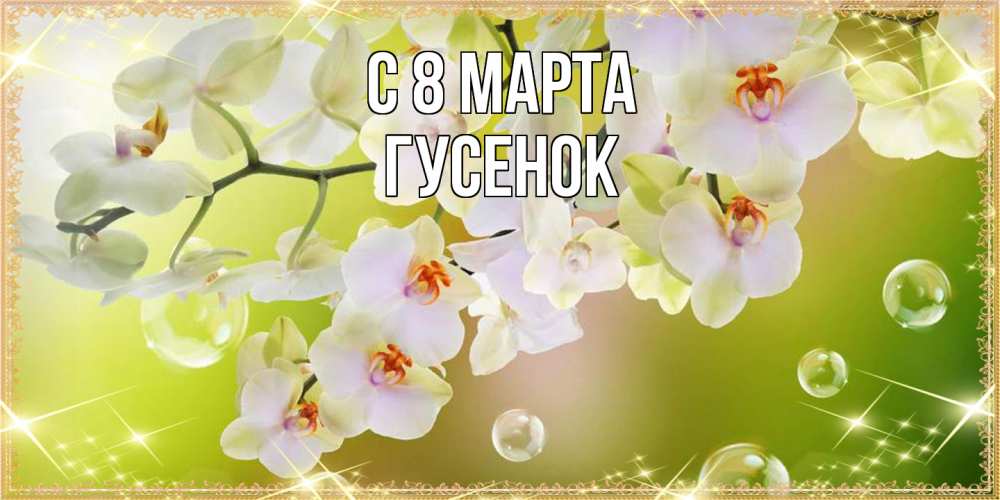 Открытка на каждый день с именем, гусенок C 8 МАРТА открытка с цветами на международный женский день Прикольная открытка с пожеланием онлайн скачать бесплатно 