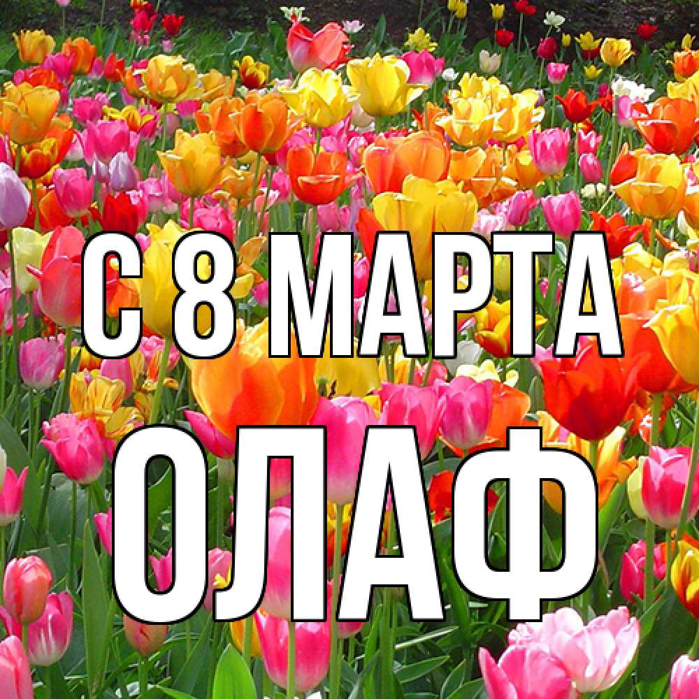 Открытка на каждый день с именем, Олаф C 8 МАРТА на международный женский день Прикольная открытка с пожеланием онлайн скачать бесплатно 