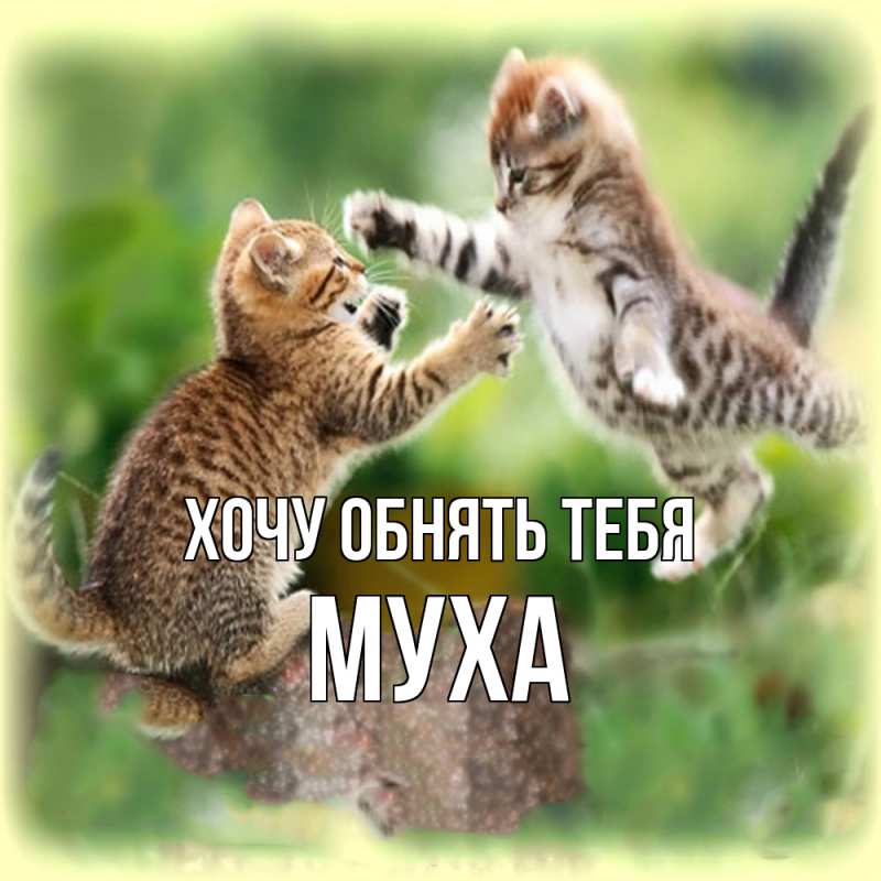 Картинка Хочу обнять тебя, Муха