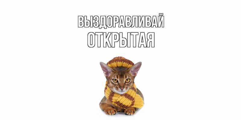 Картинка Выздоравливай, открытая