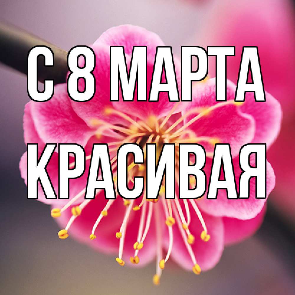 Открытка на каждый день с именем, Красивая C 8 МАРТА цветы Прикольная открытка с пожеланием онлайн скачать бесплатно 