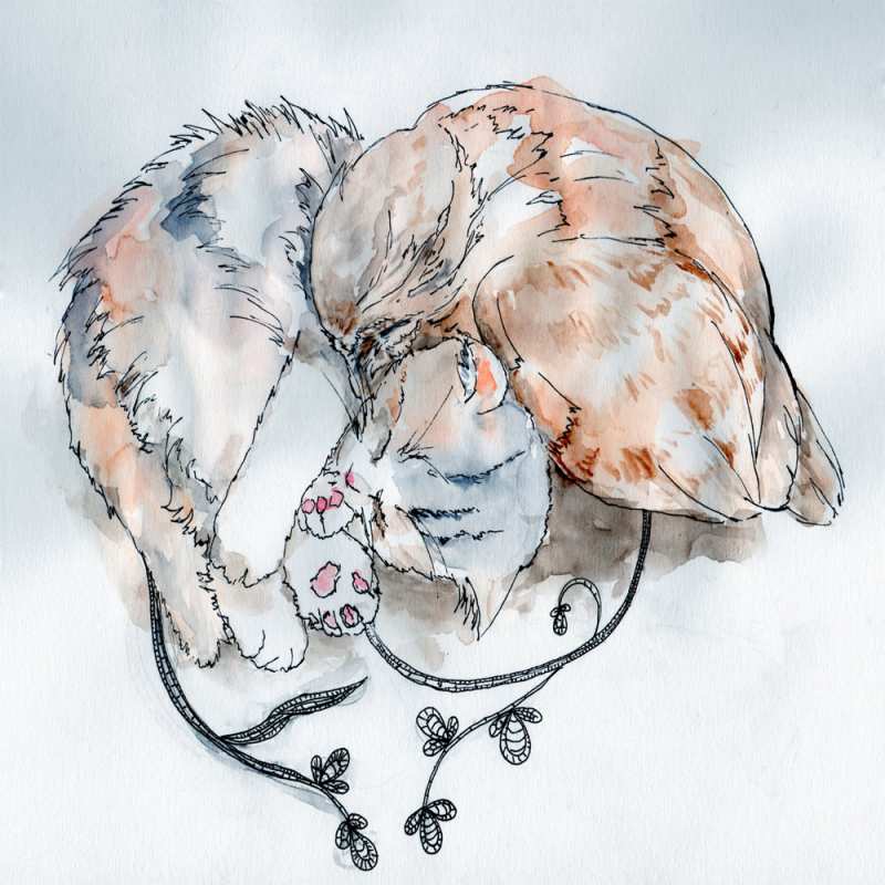 Картинка Хочу обнять тебя, Чингиз