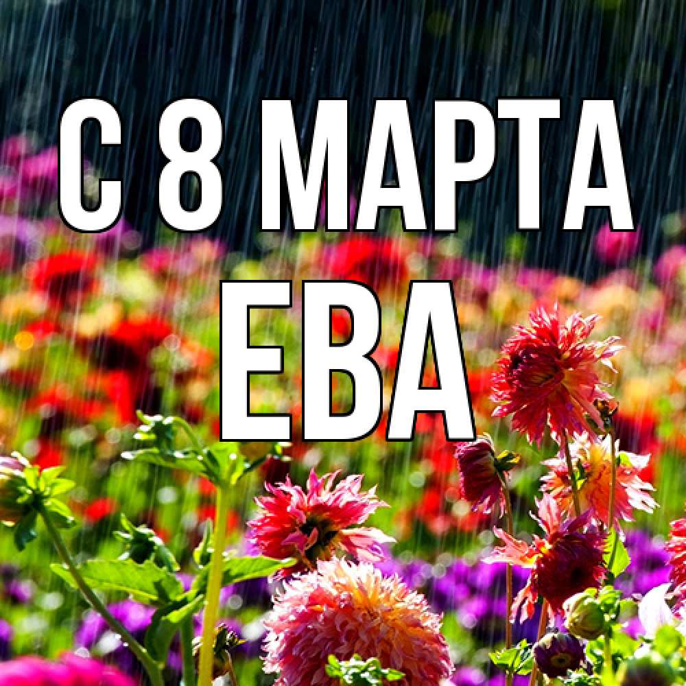 Открытка на каждый день с именем, Ева C 8 МАРТА цветы под дождиком к международному женскому дню Прикольная открытка с пожеланием онлайн скачать бесплатно 