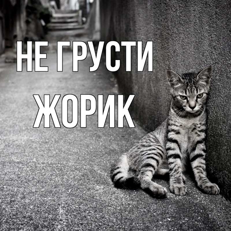 Картинка Не грусти, жорик
