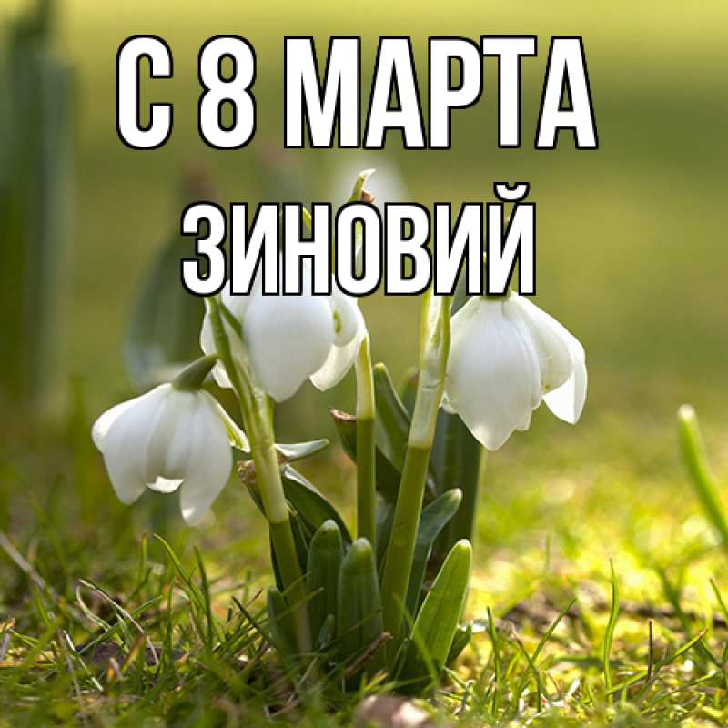 Картинка C 8 МАРТА, Зиновий