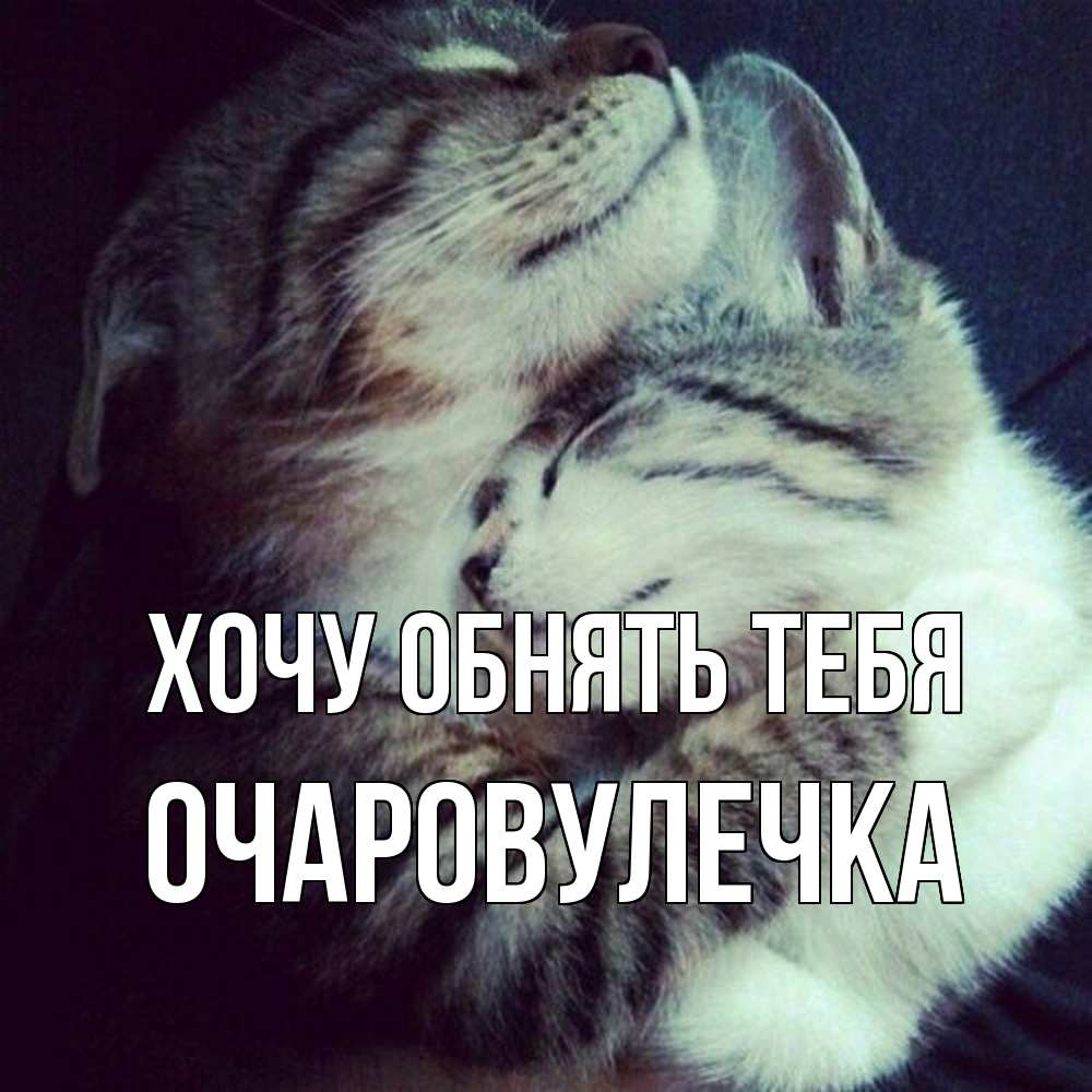 Открытка на каждый день с именем, Очаровулечка Хочу обнять тебя полосатики Прикольная открытка с пожеланием онлайн скачать бесплатно 