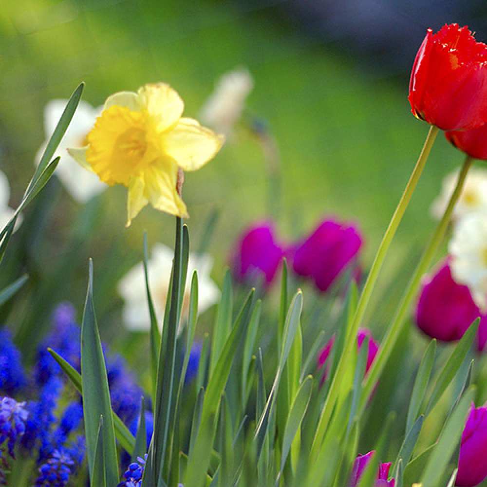 Открытка на каждый день с именем, Рукодельница C 8 МАРТА международный женский день 3 Прикольная открытка с пожеланием онлайн скачать бесплатно 