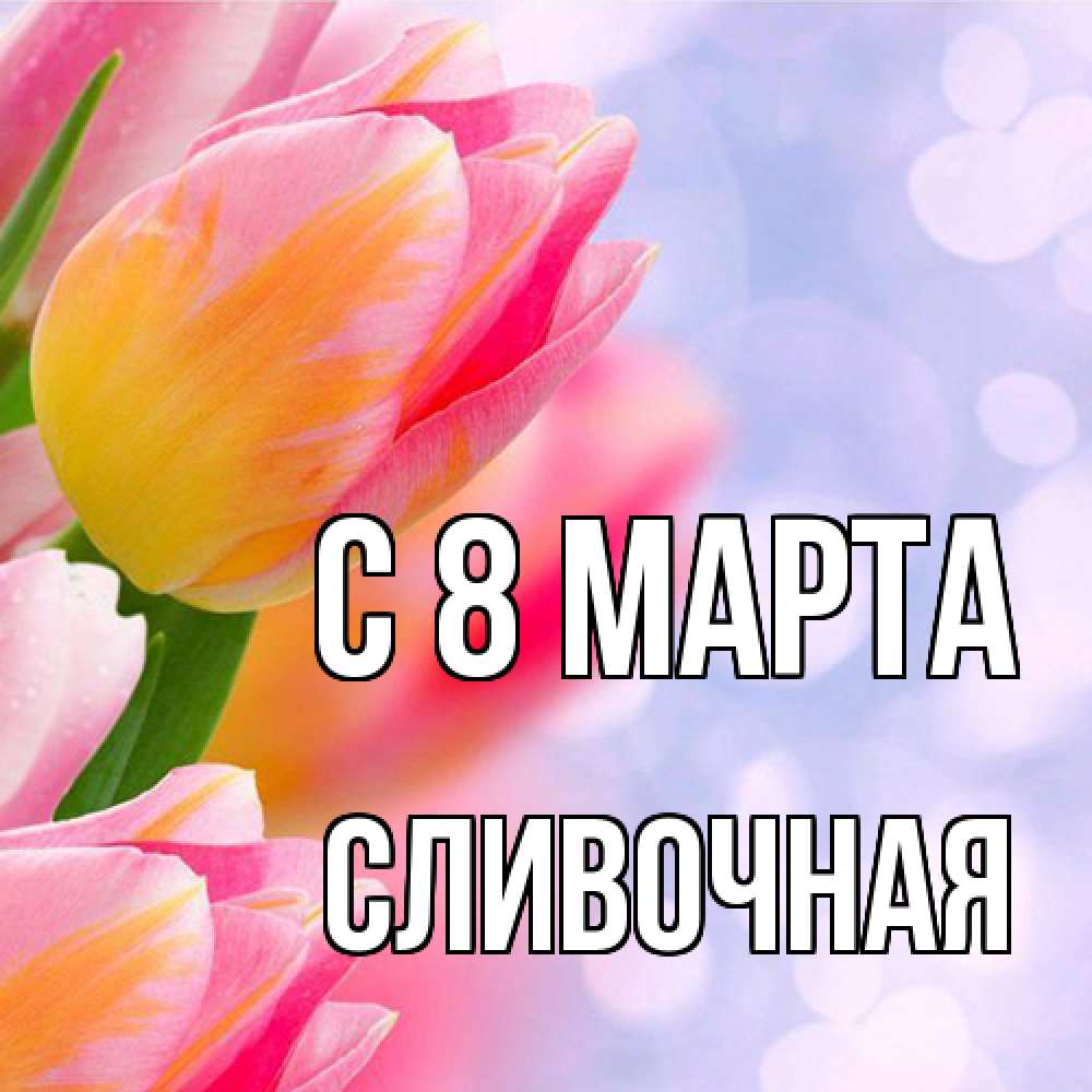 Открытка на каждый день с именем, Сливочная C 8 МАРТА тюльпаны 2 Прикольная открытка с пожеланием онлайн скачать бесплатно 