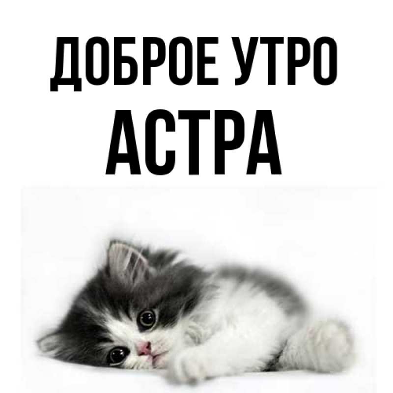 Картинка Доброе утро, Астра