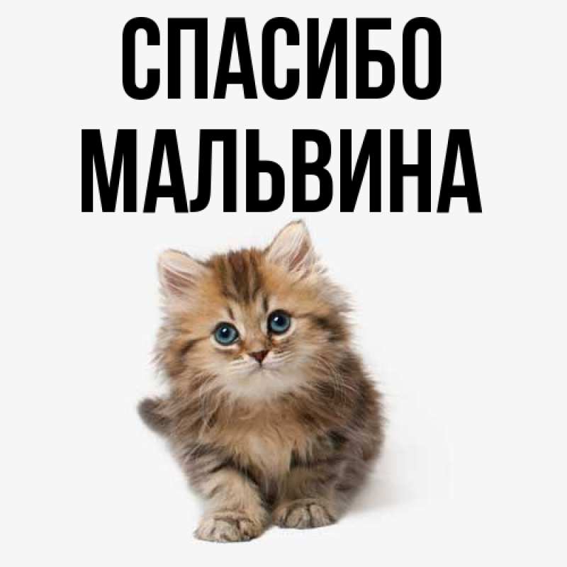 Картинка Спасибо, Мальвина