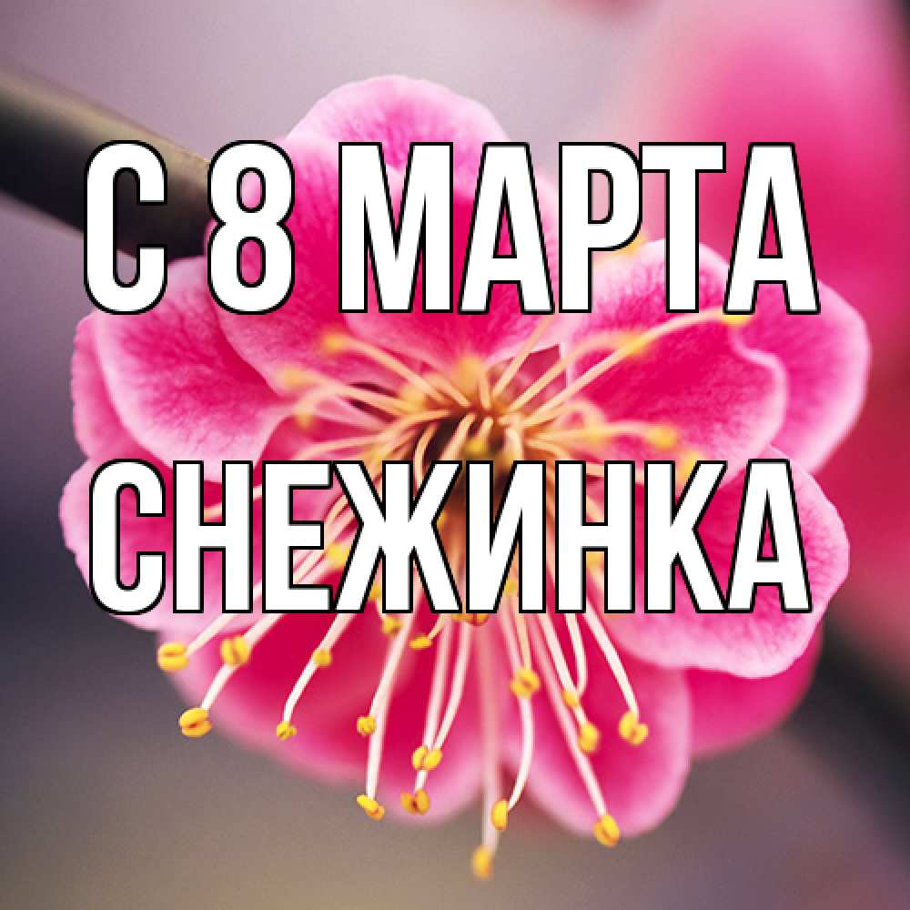 Открытка на каждый день с именем, Снежинка C 8 МАРТА цветы Прикольная открытка с пожеланием онлайн скачать бесплатно 