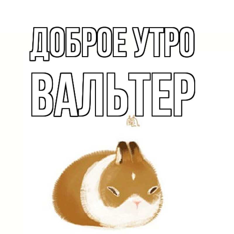 Картинка Доброе утро, Вальтер