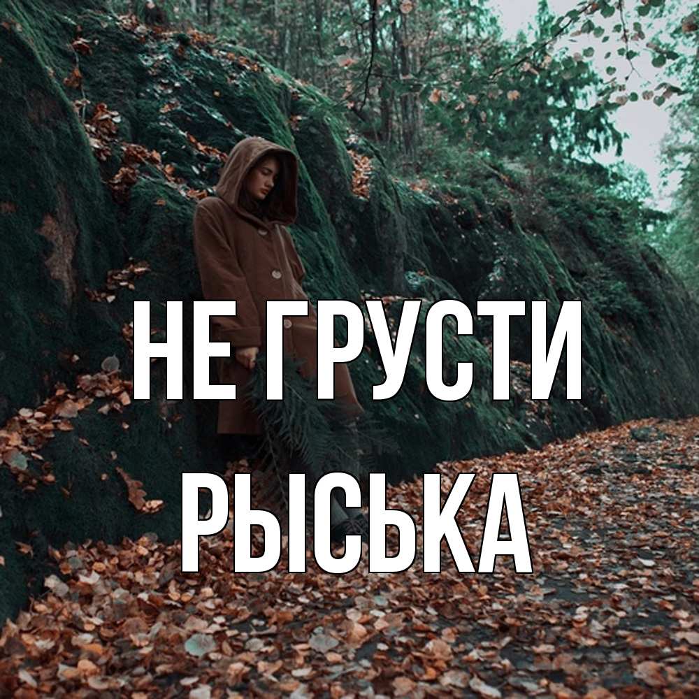 Открытка на каждый день с именем, Рыська Не грусти осенний лес Прикольная открытка с пожеланием онлайн скачать бесплатно 