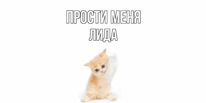 Открытка с именем, Лида, Прости меня
