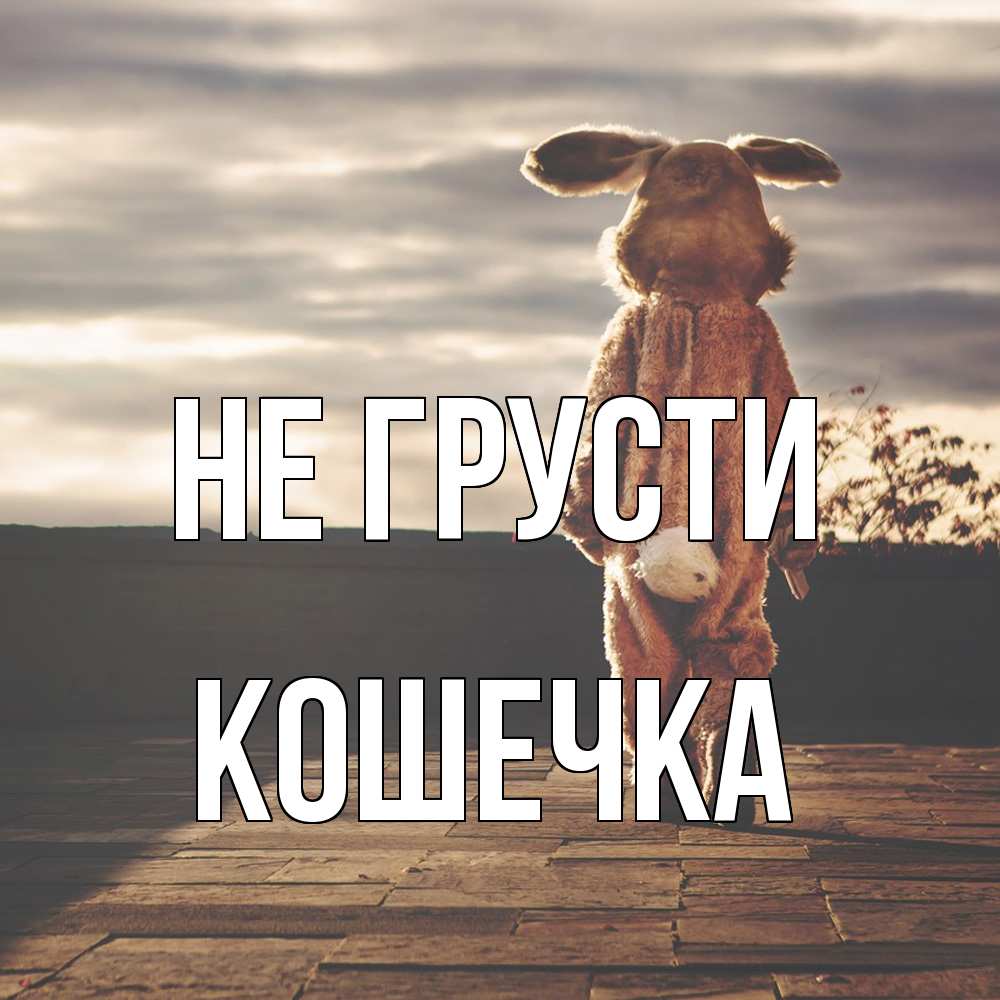 Открытка на каждый день с именем, кошечка Не грусти со спины Прикольная открытка с пожеланием онлайн скачать бесплатно 