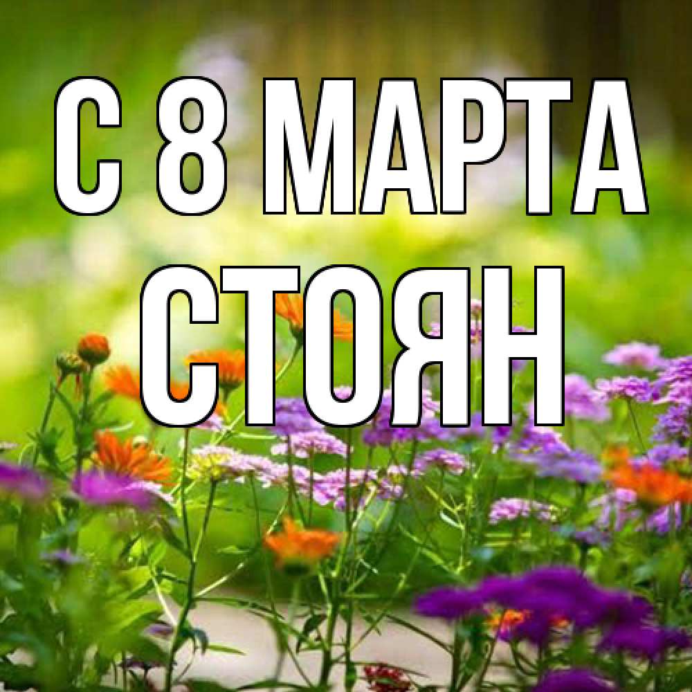 Открытка на каждый день с именем, Стоян C 8 МАРТА цветы Прикольная открытка с пожеланием онлайн скачать бесплатно 