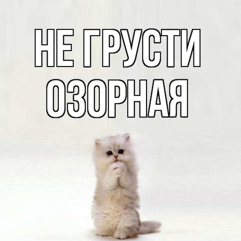 Картинка Не грусти, Озоpная