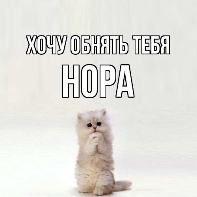 Картинка Хочу обнять тебя, Нора