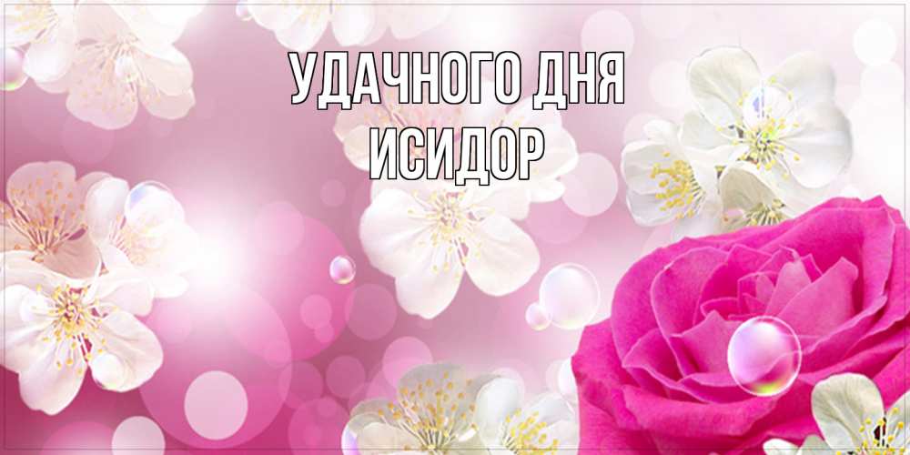 Открытка на каждый день с именем, Исидор Удачного дня красивые цветы Прикольная открытка с пожеланием онлайн скачать бесплатно 