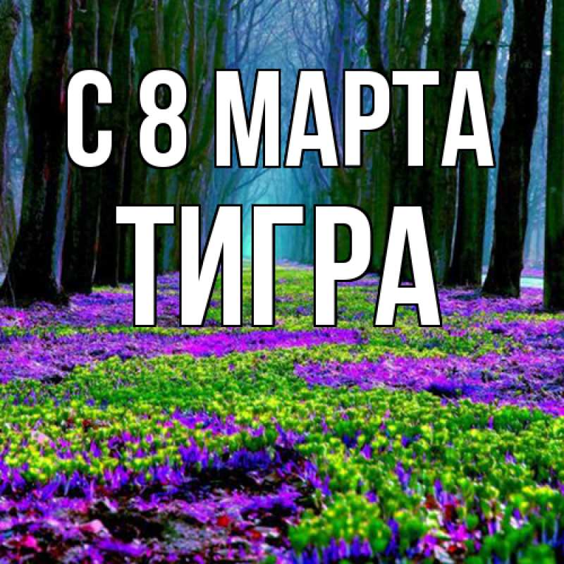Картинка C 8 МАРТА, Тигpа