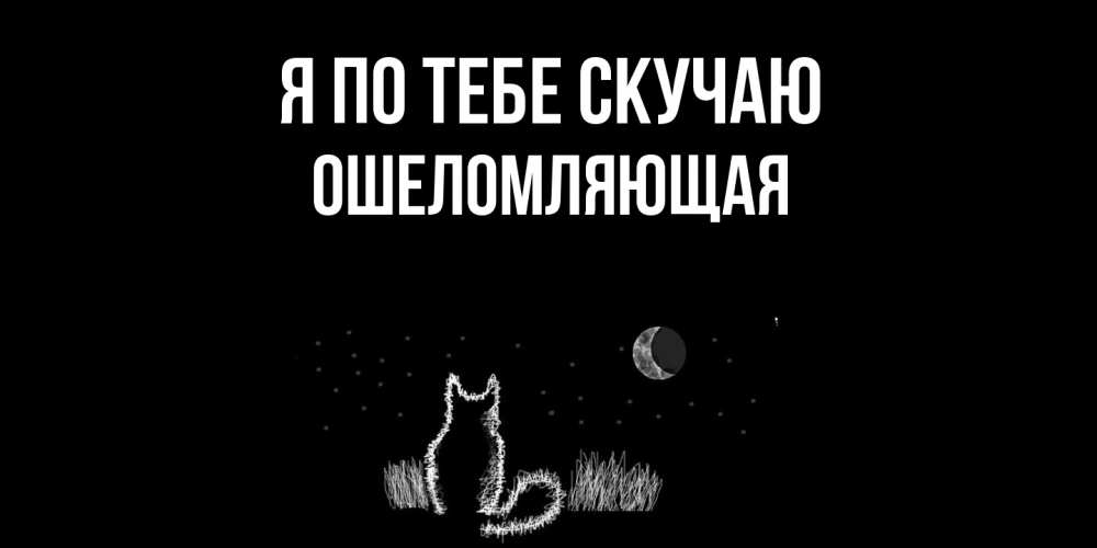 Открытка на каждый день с именем, Ошеломляющая Я по тебе скучаю кот Прикольная открытка с пожеланием онлайн скачать бесплатно 