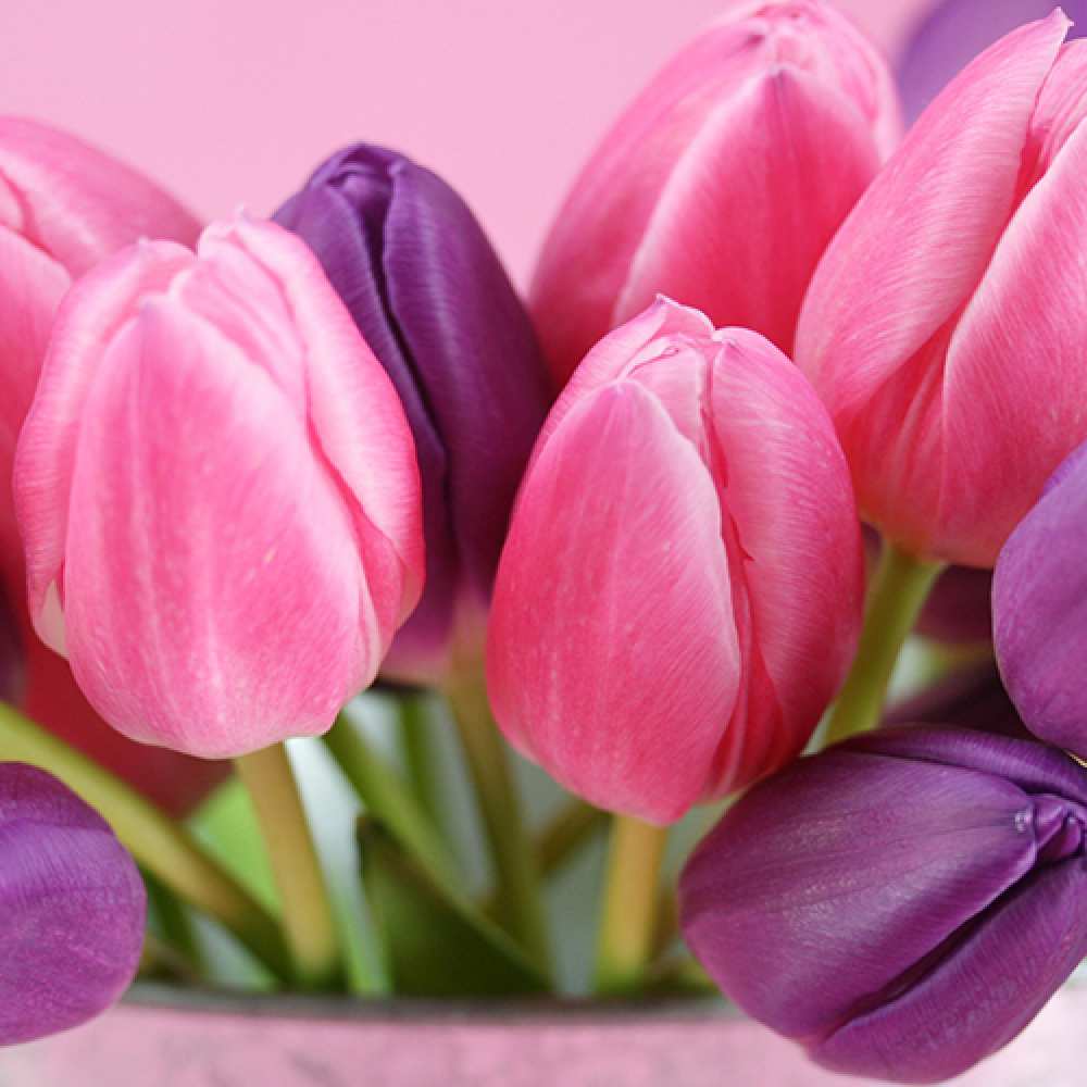 Открытка на каждый день с именем, девчоночка C 8 МАРТА маме 1 Прикольная открытка с пожеланием онлайн скачать бесплатно 