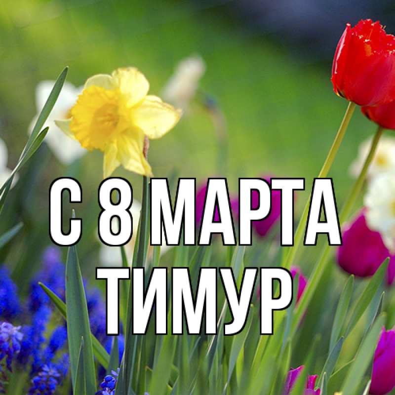 Картинка C 8 МАРТА, Тимур