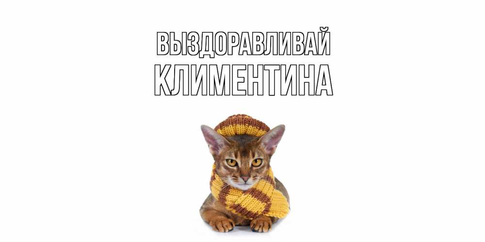 Открытка на каждый день с именем, Климентина Выздоравливай родные не болейте Прикольная открытка с пожеланием онлайн скачать бесплатно 
