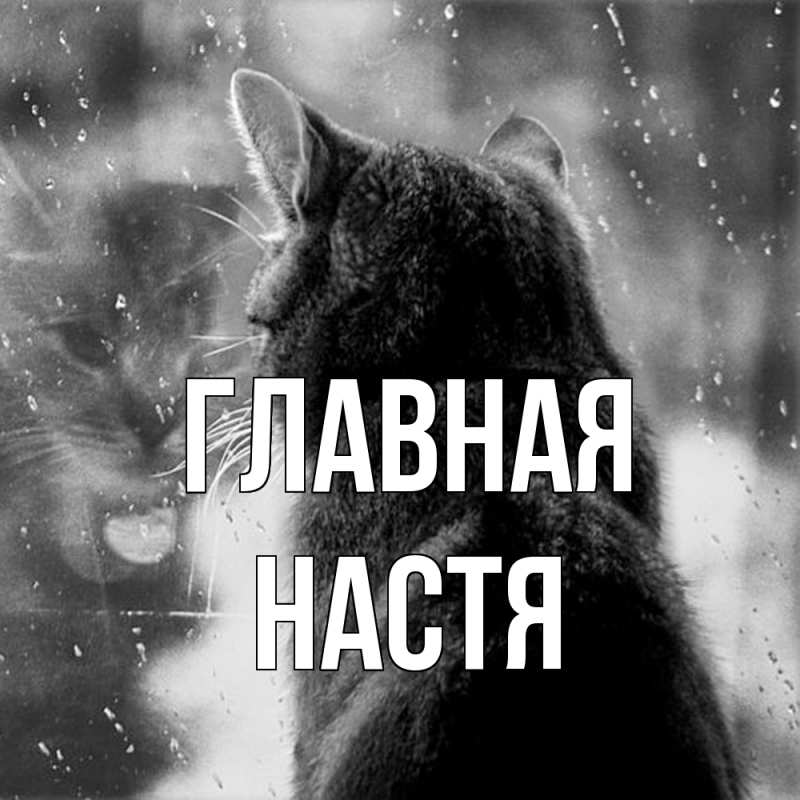 Картинка  с именем , настя