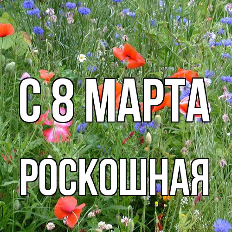 Картинка C 8 МАРТА, Роскошная